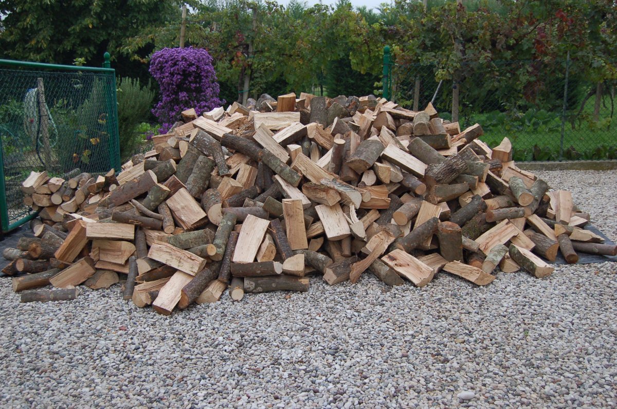 Blogredire Una che vorrei vincere