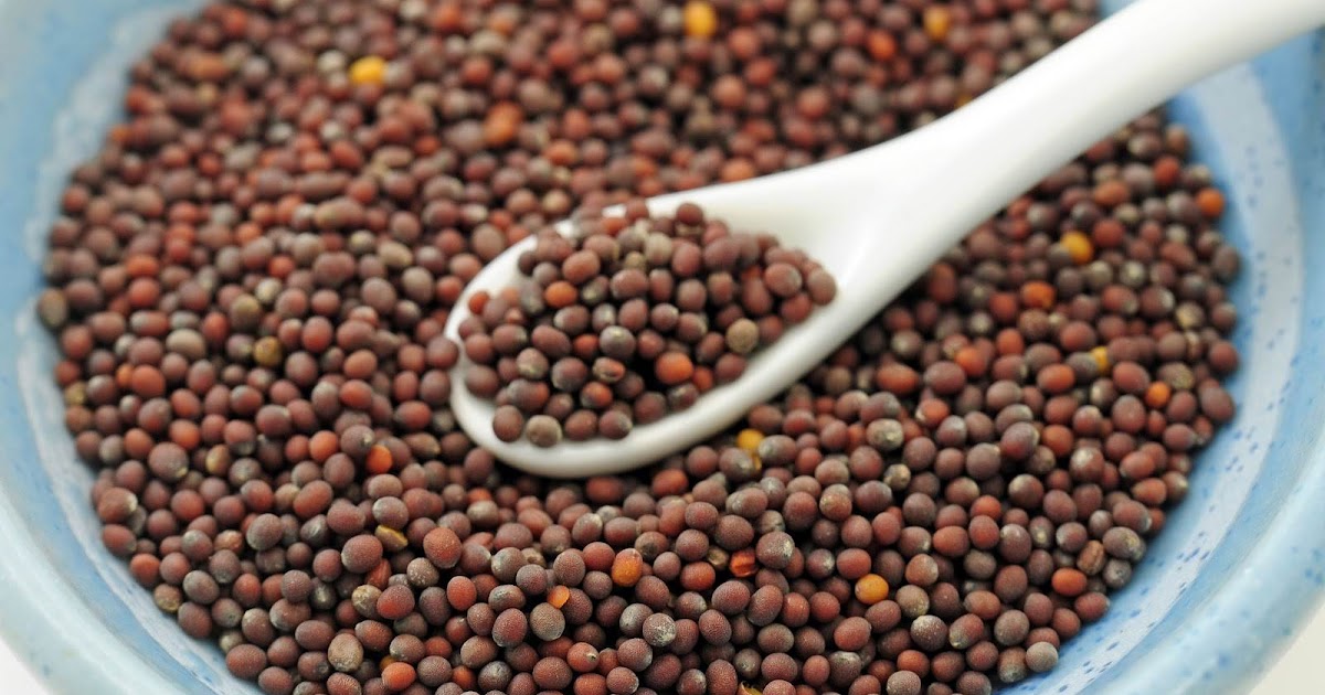 Harvesting of Mustard Crop Begins in Rajasthan