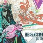 The Shams Band: Cold City