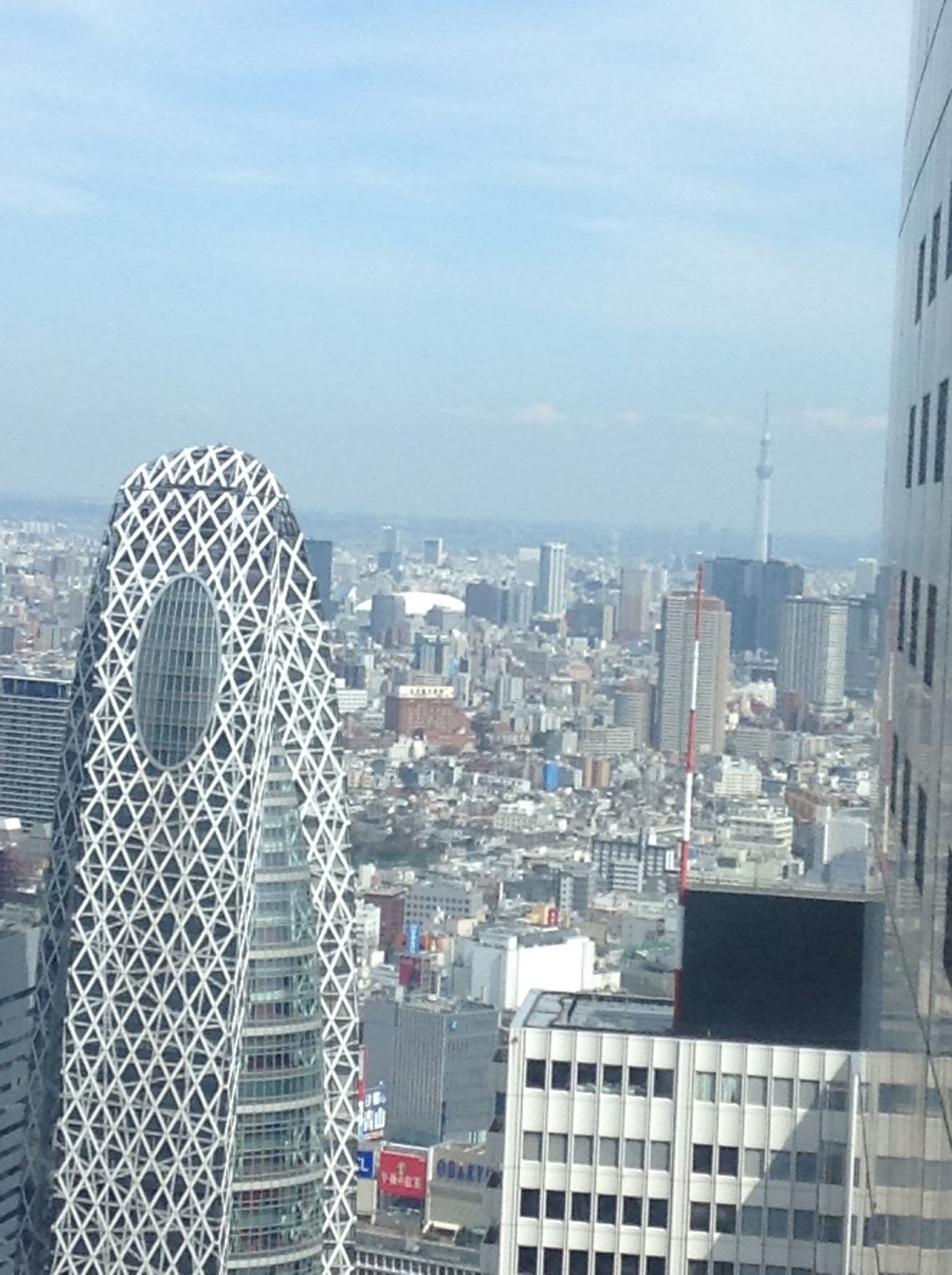 Tokyo Skyline 