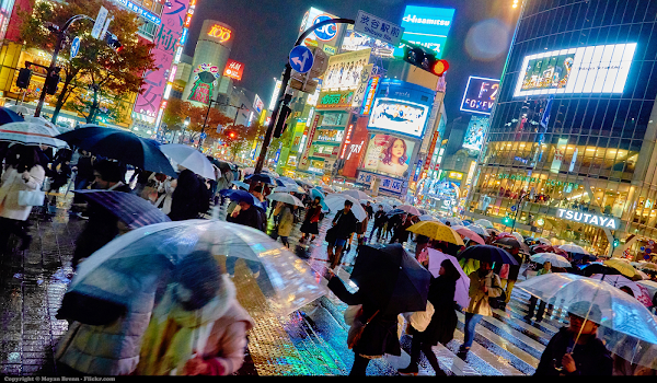TOKYO: ALLA SCOPERTA DELLA CITTA' TOKYO: ALLA SCOPERTA DELLA CITTA'
