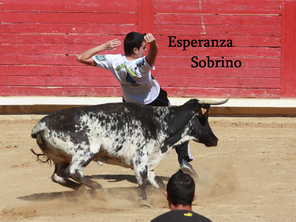 TAURINAS AL NATURAL PEDRAJAS DE SAN ESTEBAN (VALLADOLID)