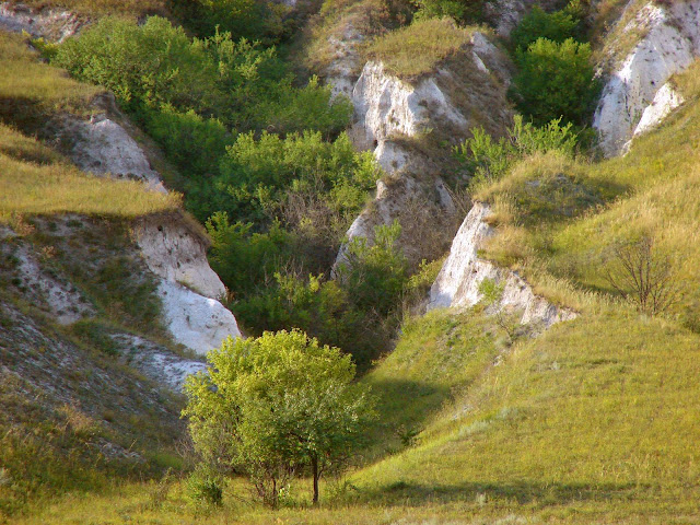 красивые места харьковской области, меловые овраги