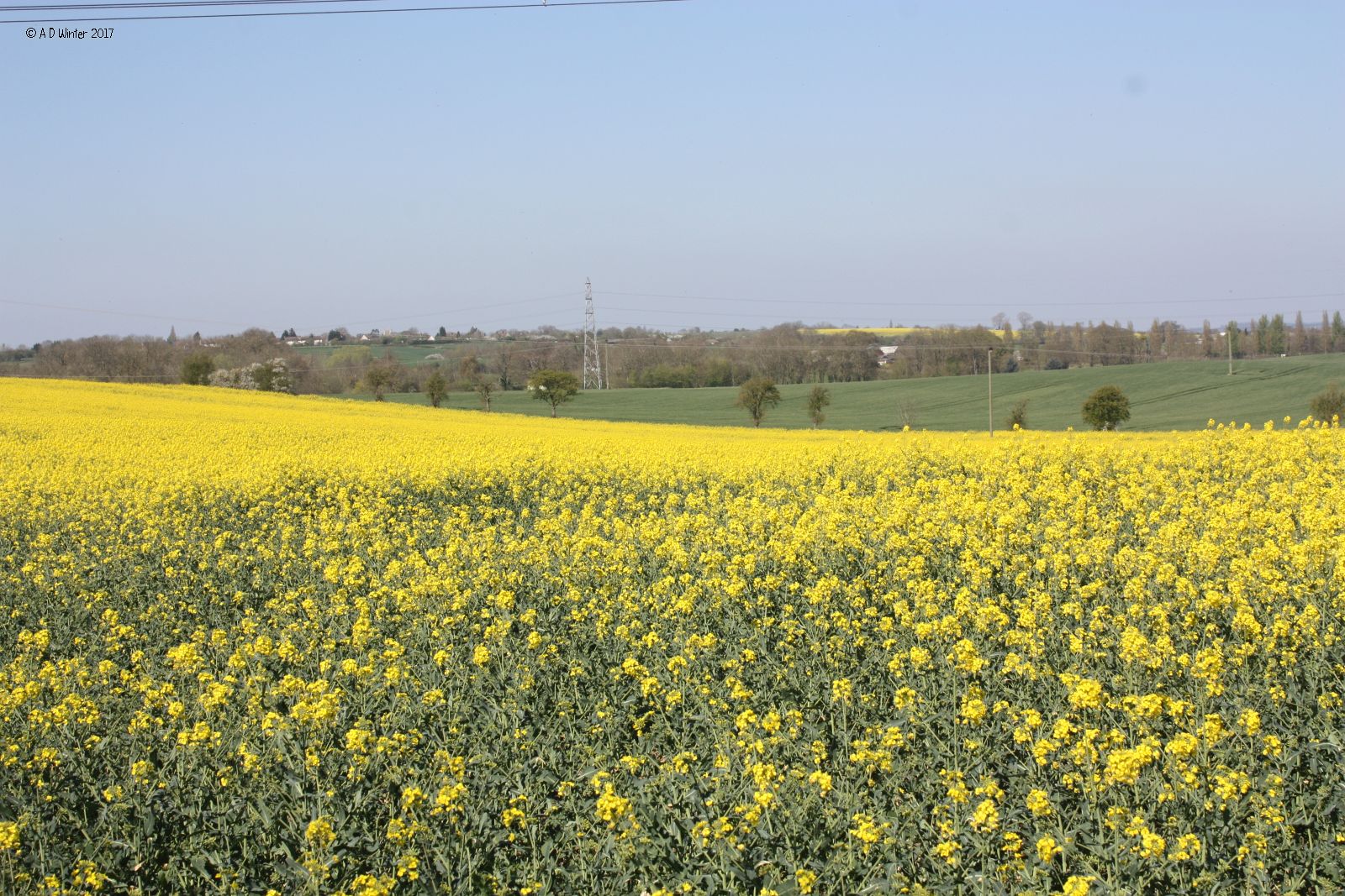 Tithe Farm Walk 2017