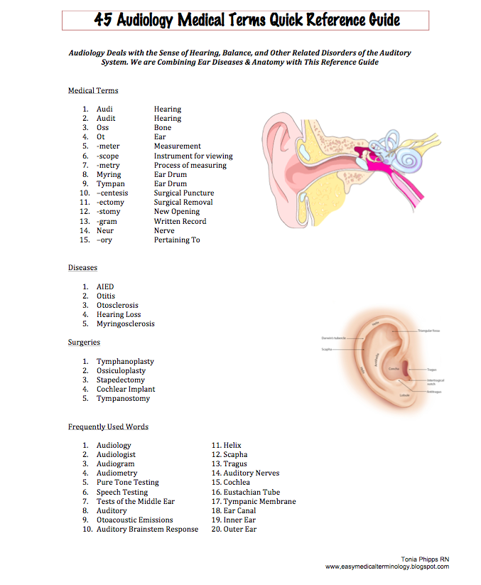Easy Medical Terminology Free Audiology Medical Terminology Reference