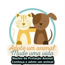 NÚCLEO DE PROTEÇÃO ANIMAL (NPA) - Delmiro Gouveia/AL Conheça e adote um animal