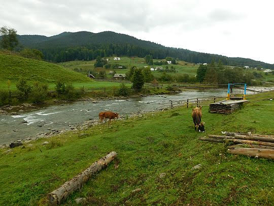 Szybene.