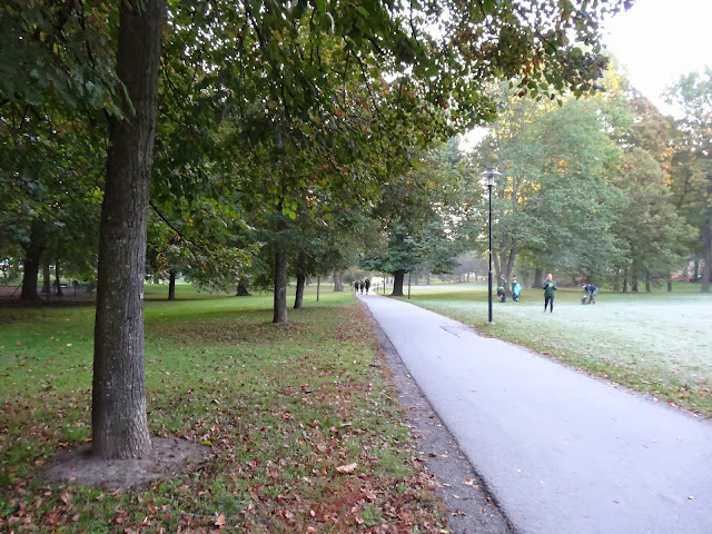 konditionstr%C3%A4ning+army+fitness+(8) - Konditionsträning med Army Fitness