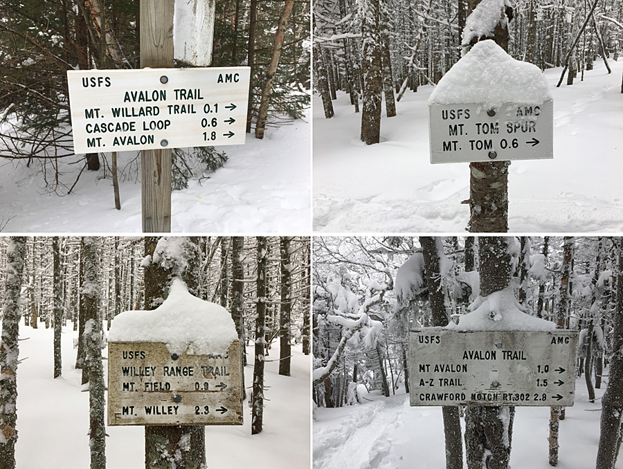 Hiking in the White Mountains Swim / Bike / Run / Hike . . . Tom, Field, & Willey
