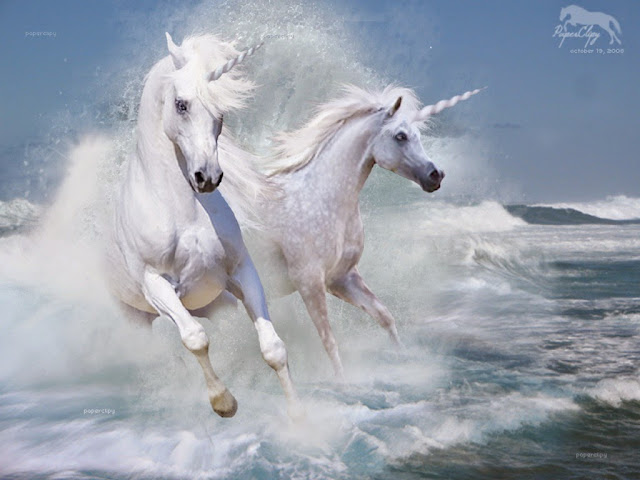 free horse white wallpaper