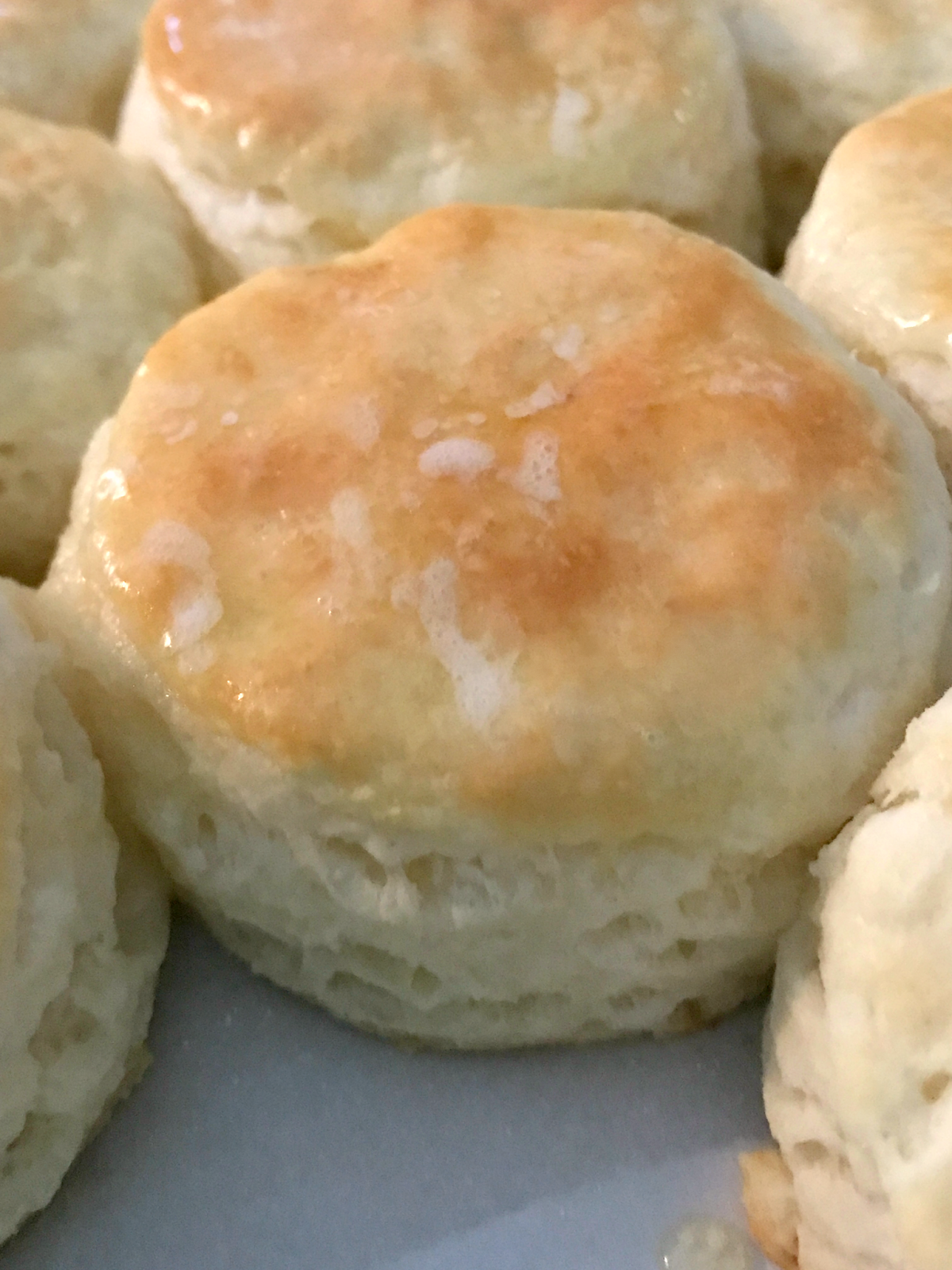 Blue Ribbon Kitchen Blue Ribbon 100 The Pecan Pie Recipe