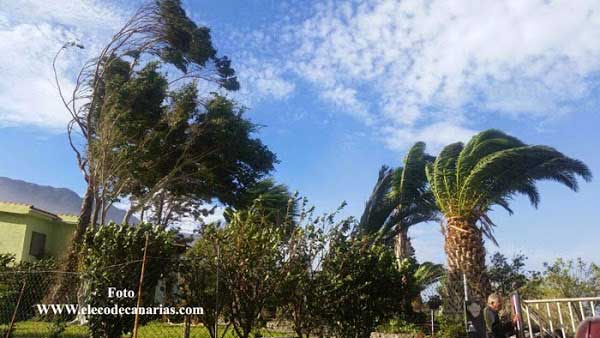 Alerta máxima en Gran Canaria y Tenerife por fuertes lluvias y viento, domingo 25 febrero Alerta máxima en Gran Canaria y Tenerife por fuertes lluvias y viento, domingo 25 febrero