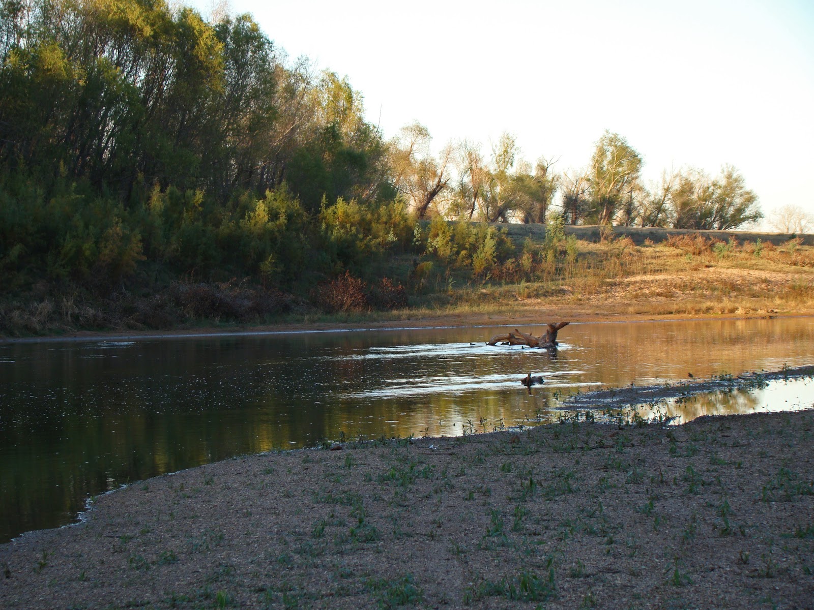 the NAVASOTA CURRENT Brazos River walk...Almost like a walk on the