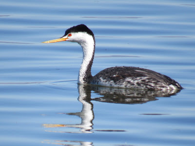 Tule Lake National Wildlife Refuge California