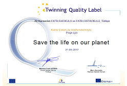Turkish school got etwinning quality labels for working in twinspace on project topi
