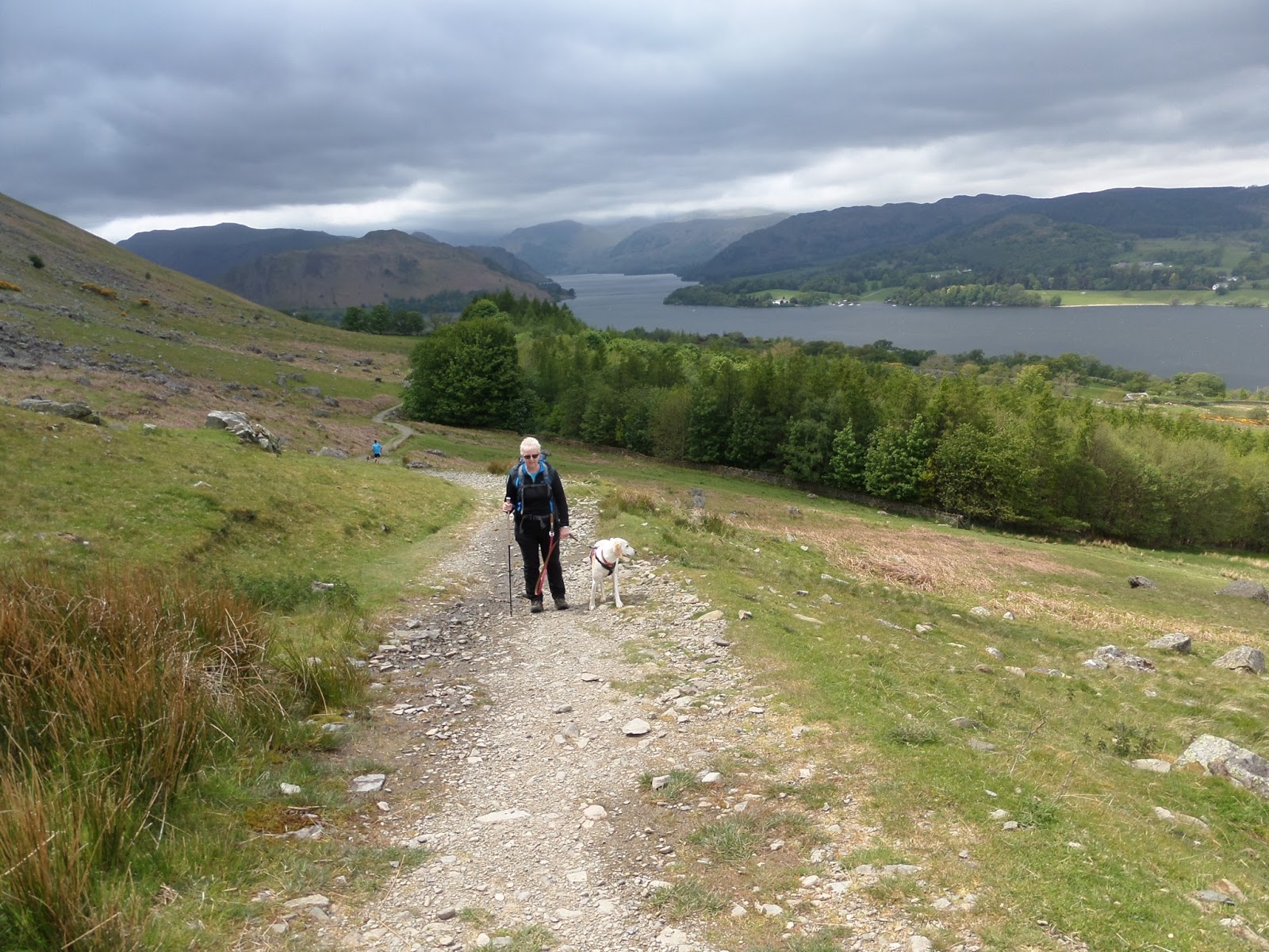 One Girl and Her Dog Howtown to Pooley Bridge a nice low level walk 5 June 2015