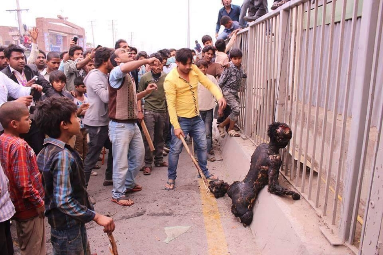 islam
