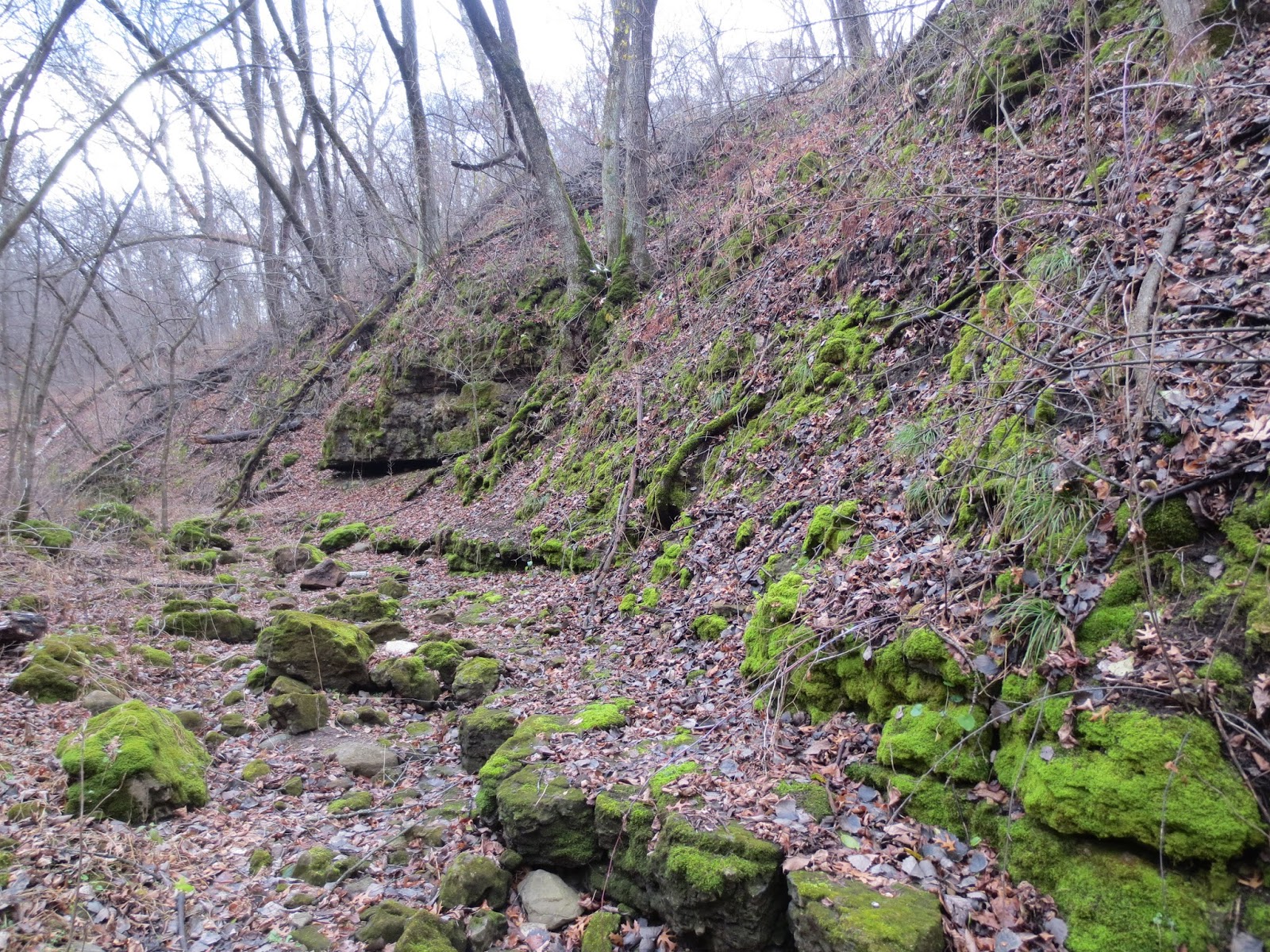 Equatorial Minnesota Cottage Grove Ravine Regional Park The