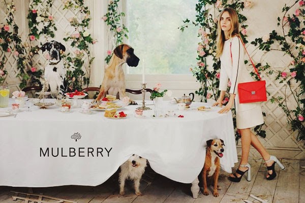 Mulberry Spring Campaign