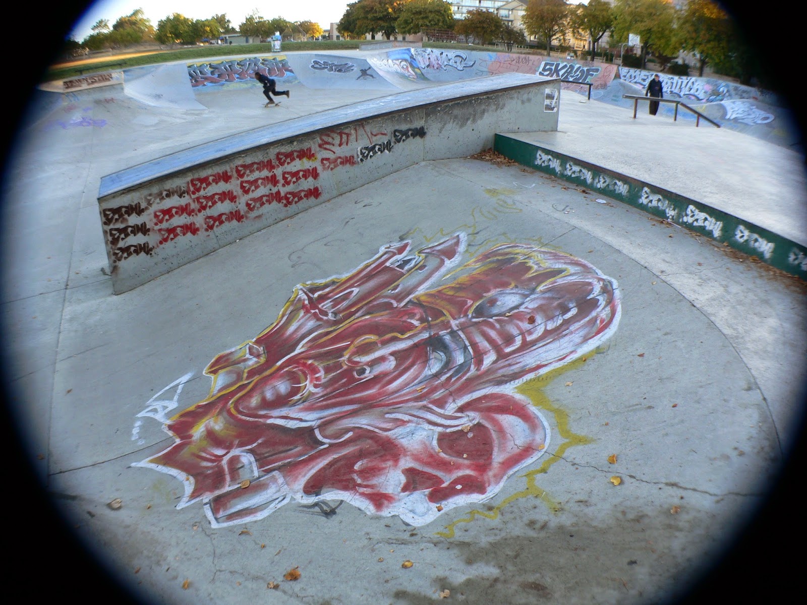 Spott Dreams of Skate Parks Victoria, B.C.