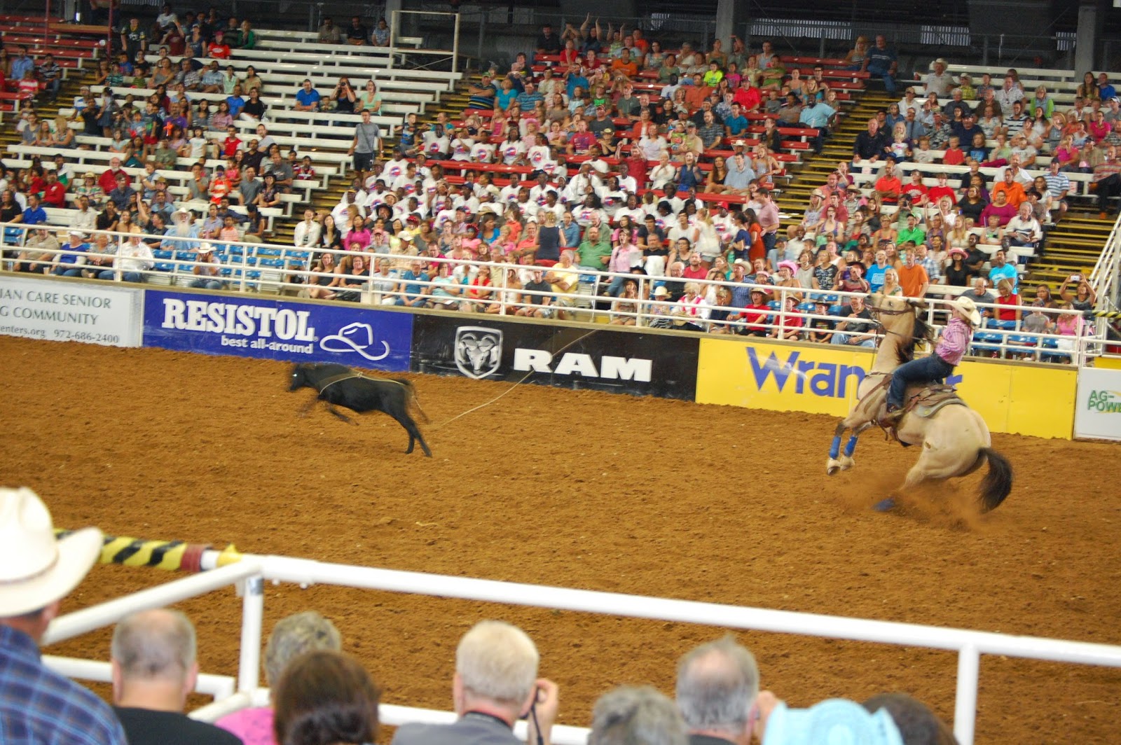 Airing My Laundry, One Post At A Time...: My First Rodeo
