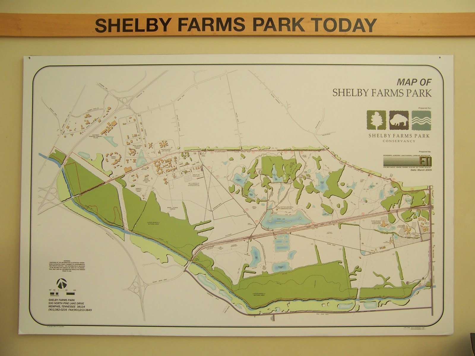 The Corbeted Chronicles Shelby Farms' Master Plan