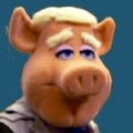 Obrazek