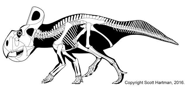 Mark Witton.com Blog: Why Protoceratops almost certainly wasn't the ...