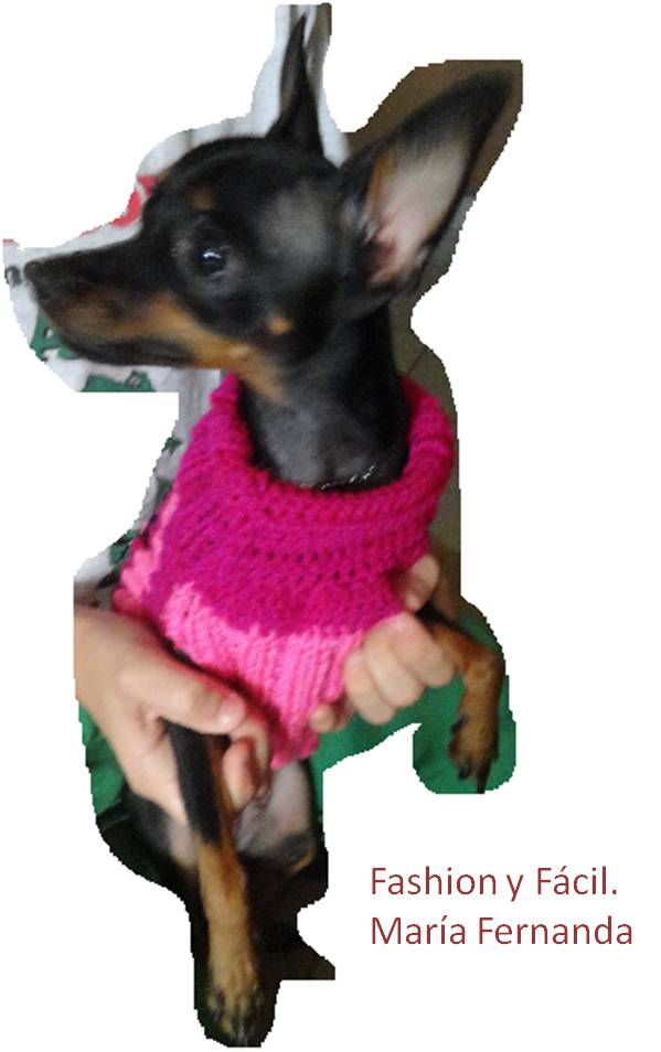 Fashion y DIY: ¿Cómo hacer ropa para perros: vestidos y sweaters? dresses and sweaters)