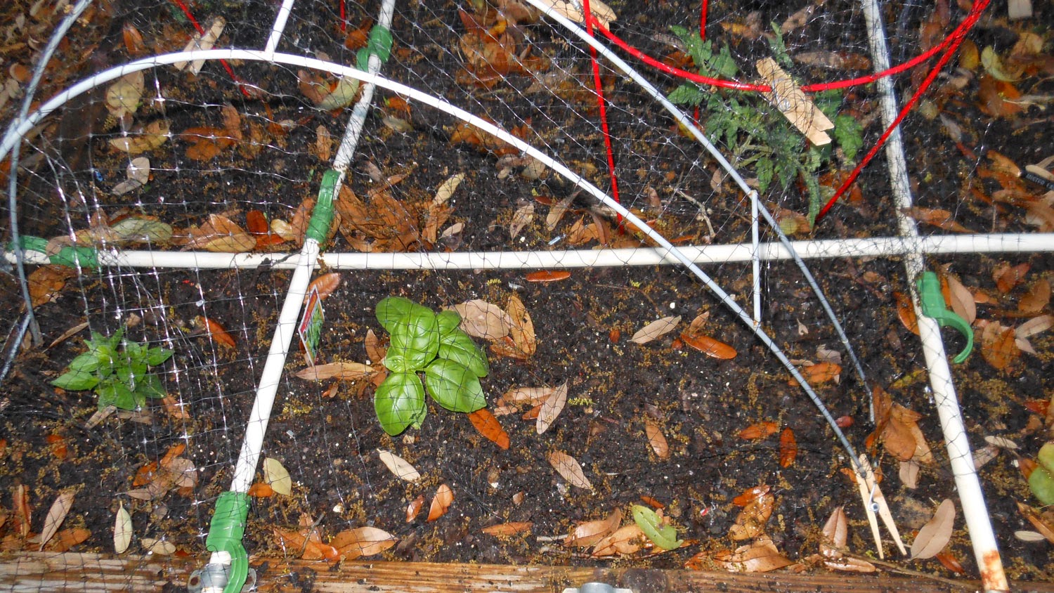 Garden Gadgets Deluxe Easy Gardener 14 x 45 Foot BirdBlock Netting