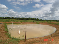 Barreiro com água na caatinga