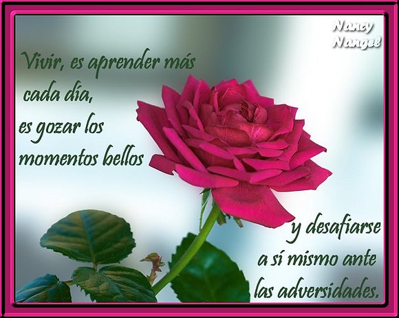 TODO CAMINO POR MAS LARGO QUE SEA COMIENZA POR UN PASO ¡¡FELIZ LUNES ...