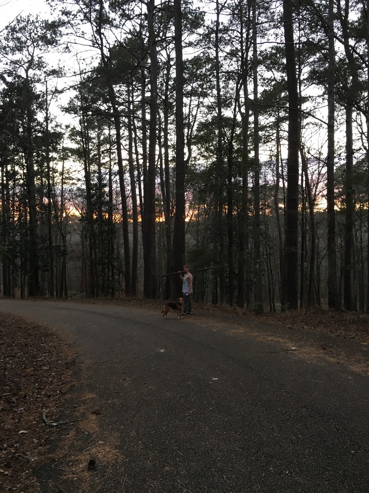 Homochitto National Forest + Jackson + Oxford // A Week in Mississippi