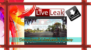Downloading Video Clips from Liveleak.com