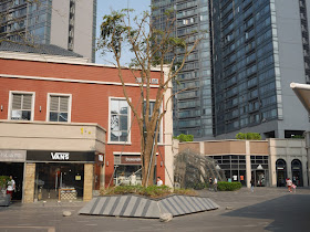 supported tree at the Midtown in Zhuhai