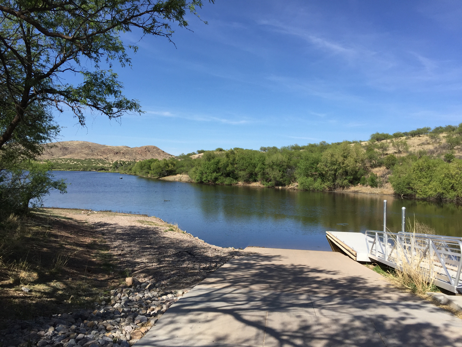 ZOOTHERA BIRDING BLOG Arizona Day 3 Madera Canyon to Arivaca Lake