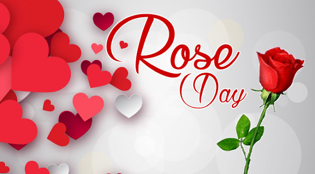 Rose Day Images Rose Day Images