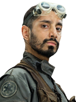 Bodhi Rook ciberseguridad Bodhi Rook ciberseguridad imagen