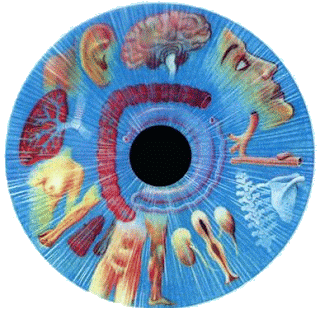 iridologia iridologia