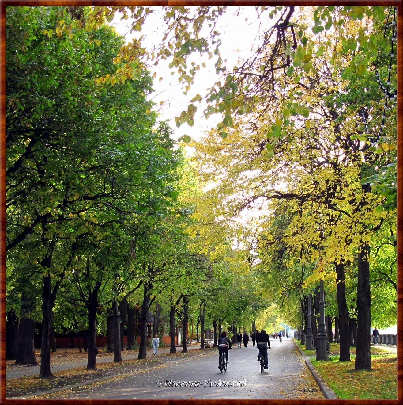Autumn park in Moscow 