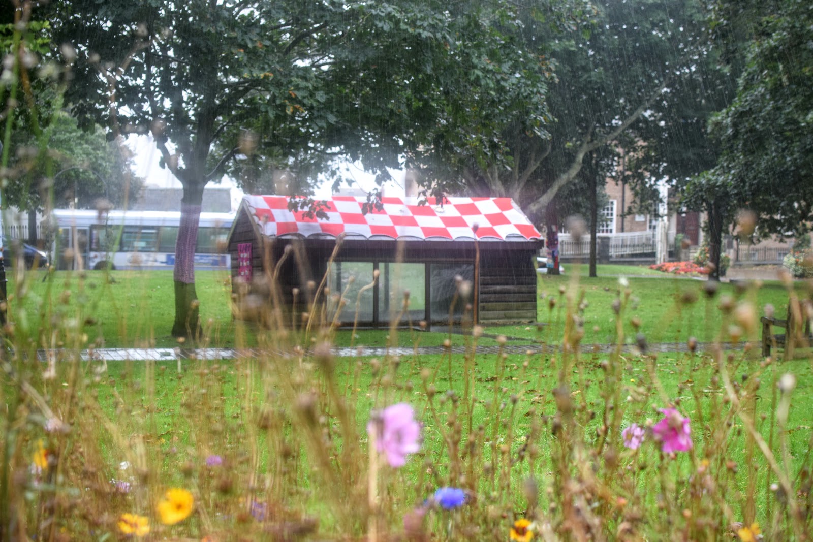 , Haverfordwest Yarn Bombers Decorate the Memorial Gardens, Milford Haven #RoaldDahl100