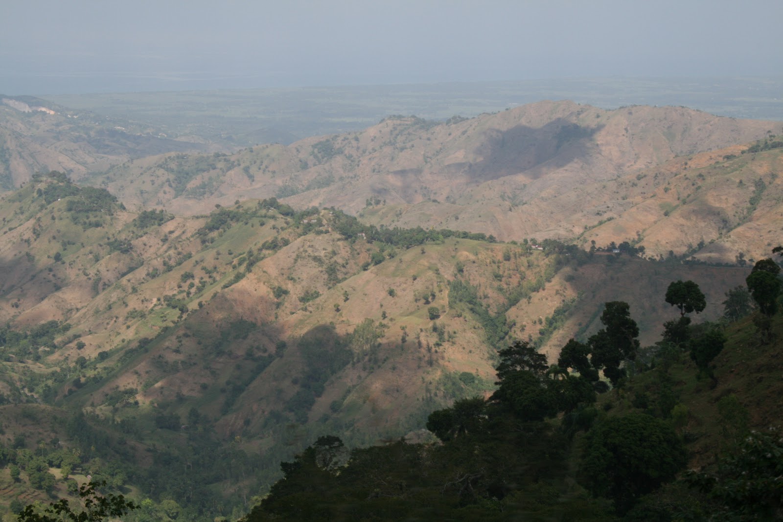 Vivre en Haïti au quotidien La déforestation en Haïti