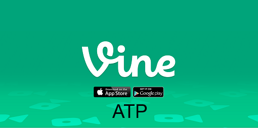 vine-app-for-pc vine-app-for-pc
