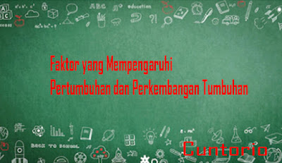 Faktor yang Mempengaruhi Pertumbuhan dan Perkembangan Tumbuhan  Cuntorio
