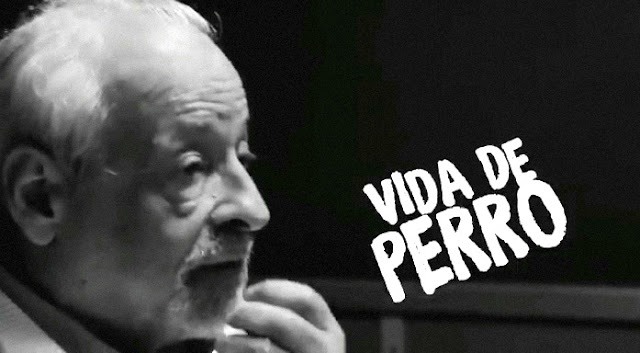 Verbitsky: