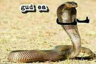 Kerad Kerad