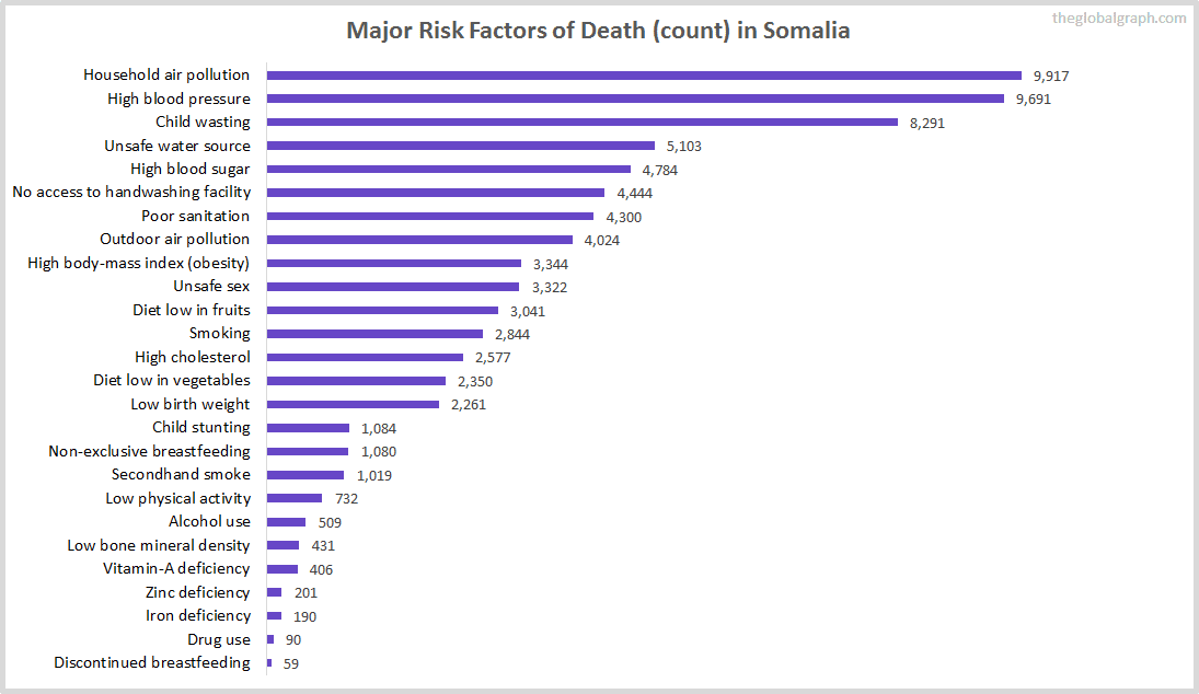 Major Cause of Deaths in Somalia (and it's count)