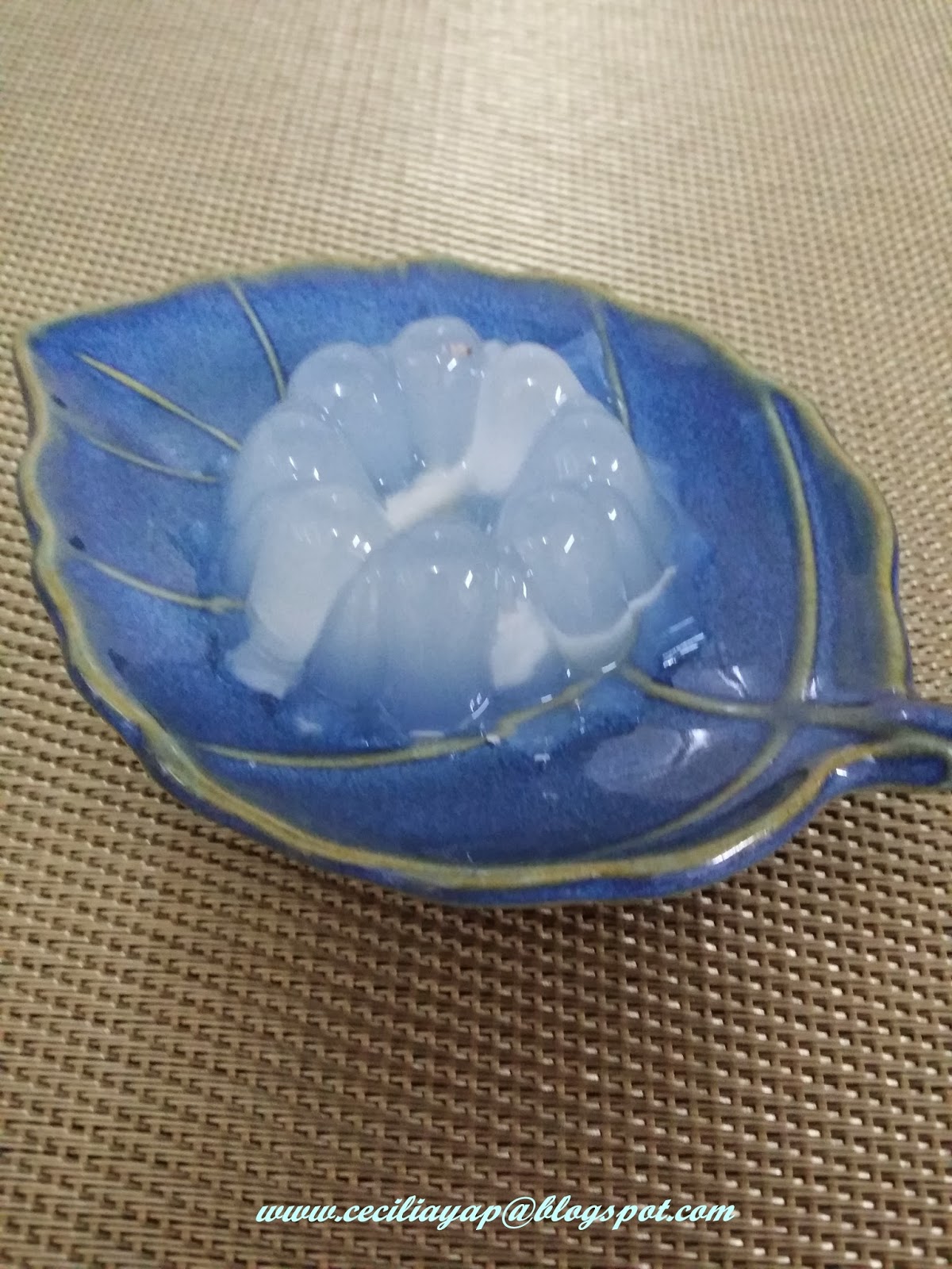 Sassy Haven Coconut Jelly