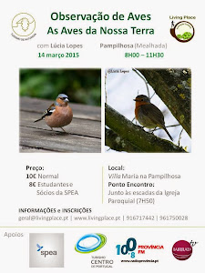Workshop de Observação de Aves