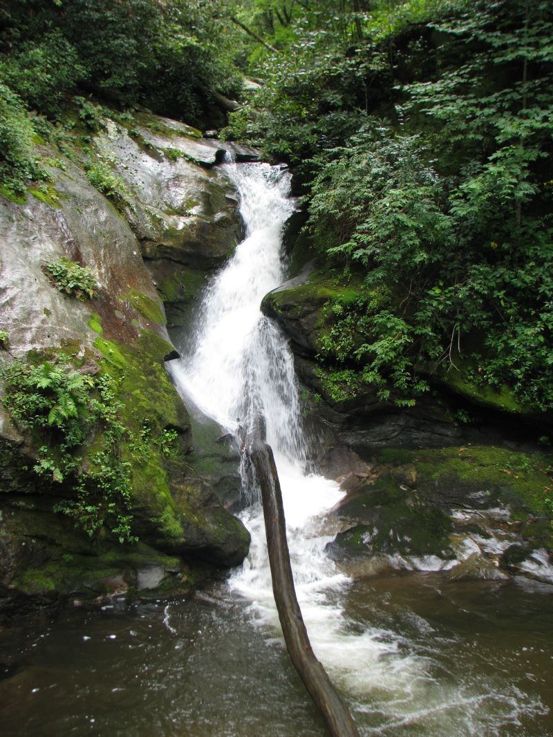 Blue Fish Lodge Darnell Falls